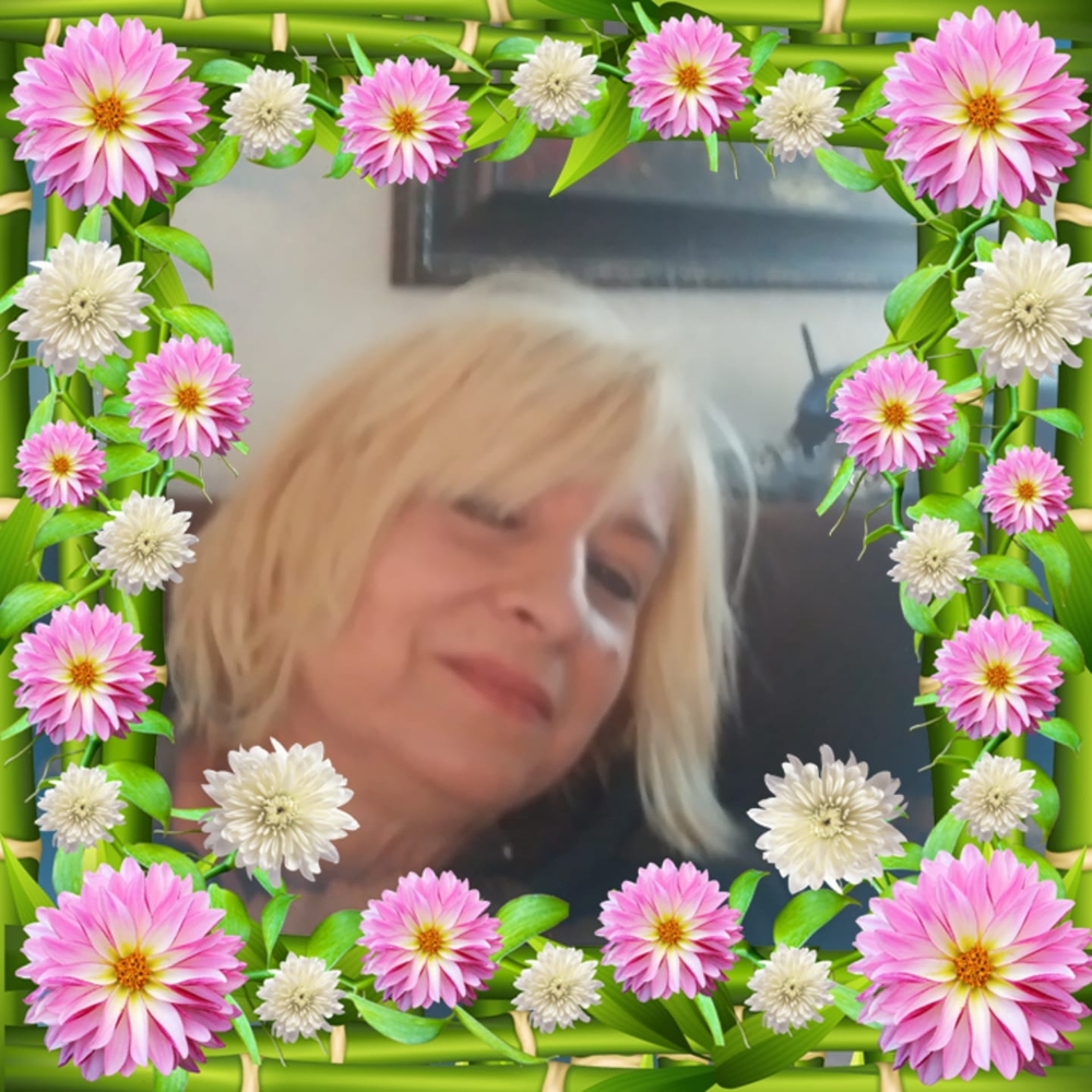Meet your Posher, Ann